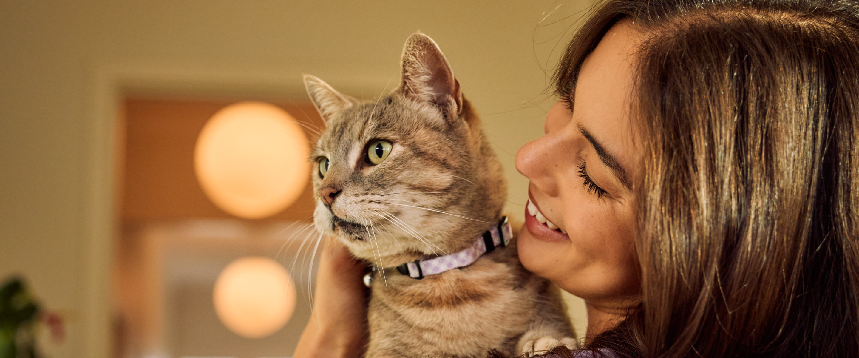 Freeze-Dried Cat Food - Natural Nutrition