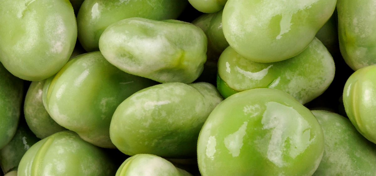 Fava Beans