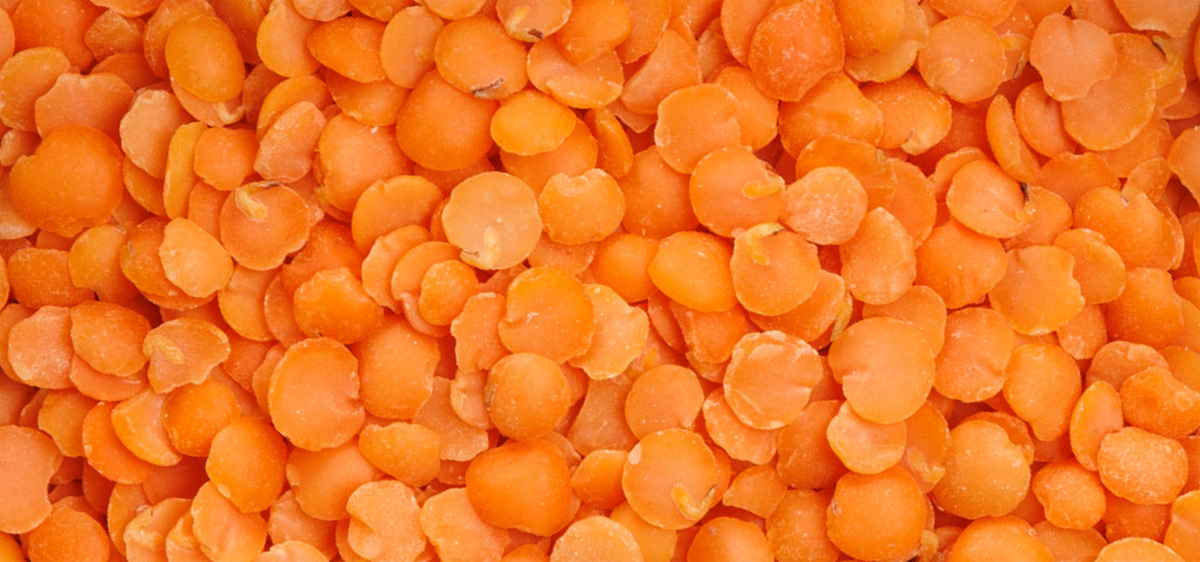 Red Lentils