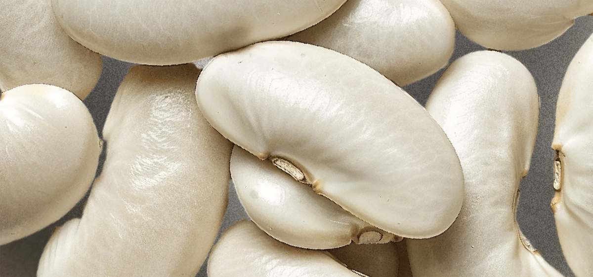 Navy Beans