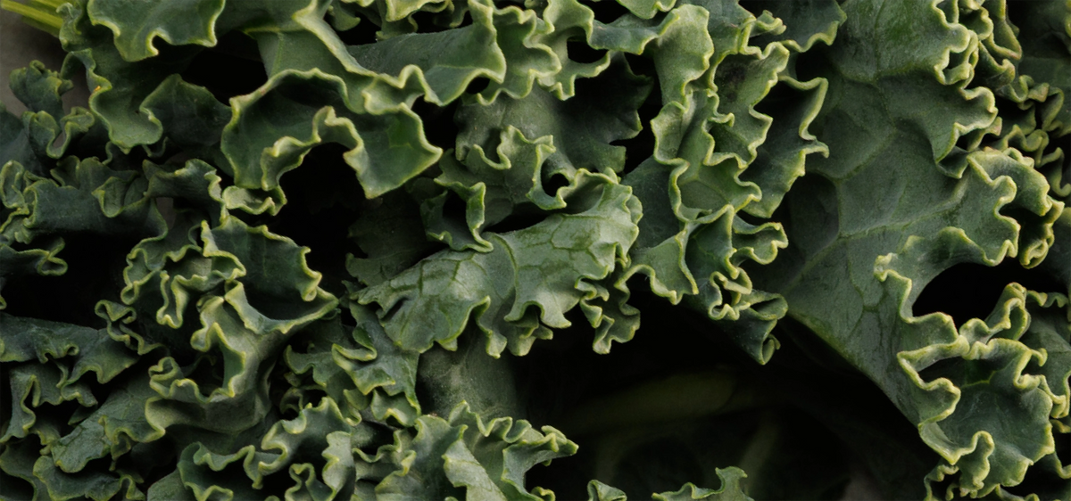 Kale