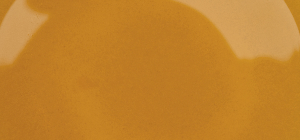 Beef Bone Broth
