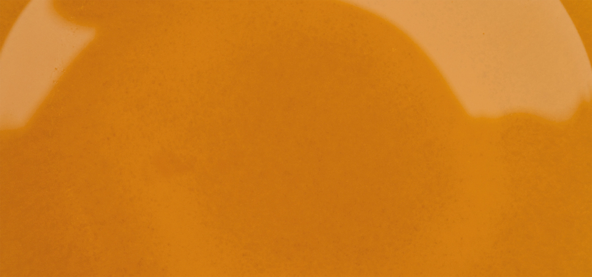 Salmon Broth