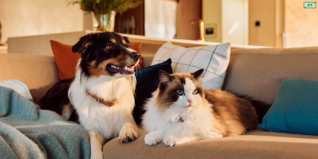 K9 Feline Natural - Premium Natural Pet Food