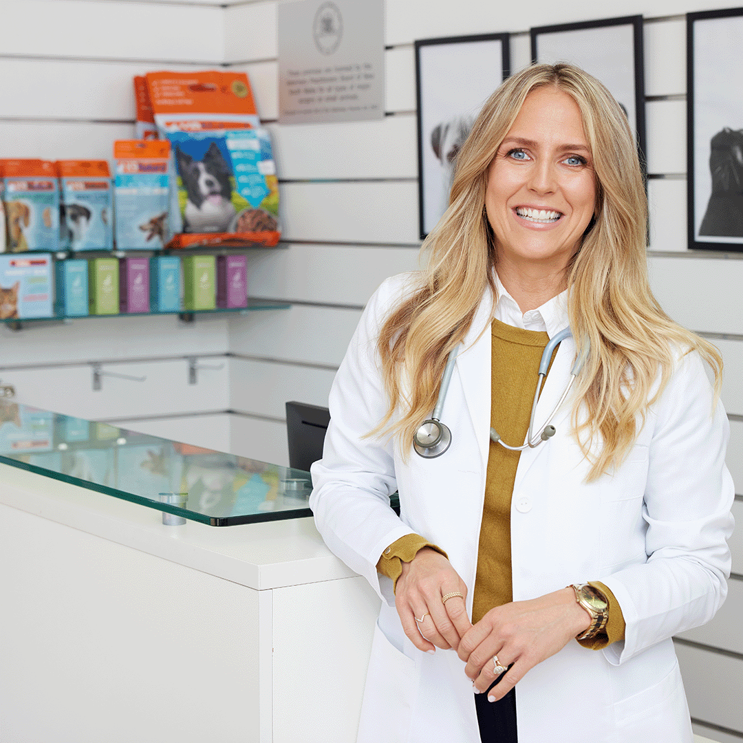 Meet Veterinarian Dr. Josie Gollan: Championing Better Nutrition for Pets
