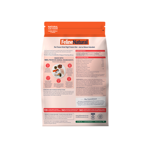 Chicken & King Salmon Feast Freeze-Dried Cat Food