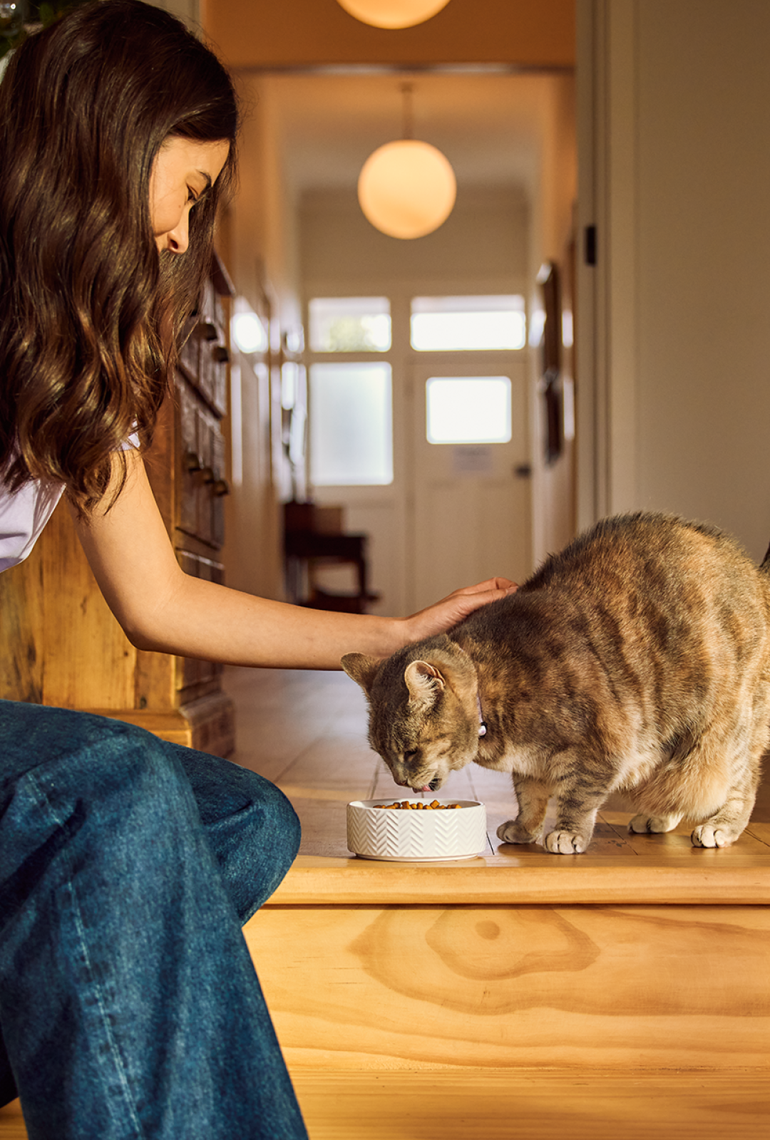 Freeze-Dried Cat Food - Natural Nutrition Freeze-Dried Cat Food - Natural Nutrition
