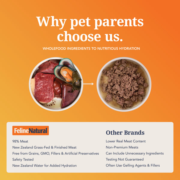 Beef & Hoki Feast Canned Cat Food