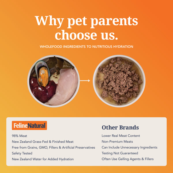 Lamb & King Salmon Feast Canned Cat Food