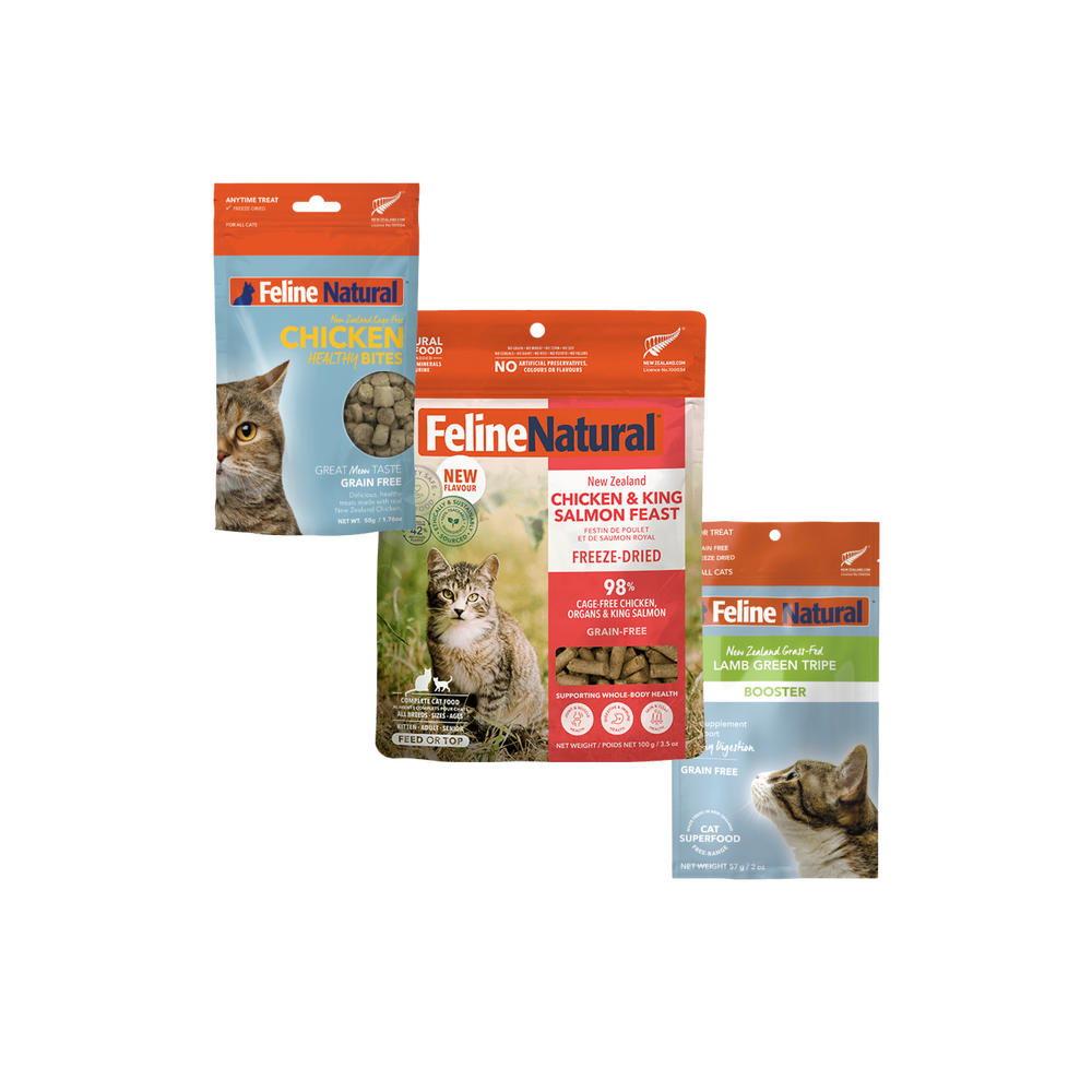 Digestive & Immune Support Bundle