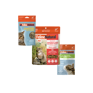 Digestive & Immune Support Bundle