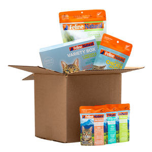 Best Sellers Bundle