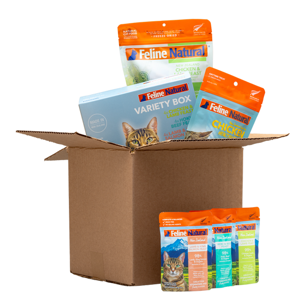 Best Sellers Bundle