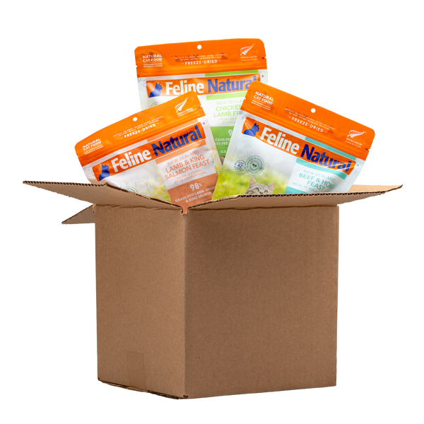 Toppers Bundle