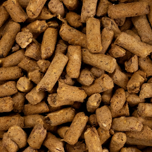 Senior Health Focused Nutrition Dog Food with Lamb, Hoki Fish & King Salmon
