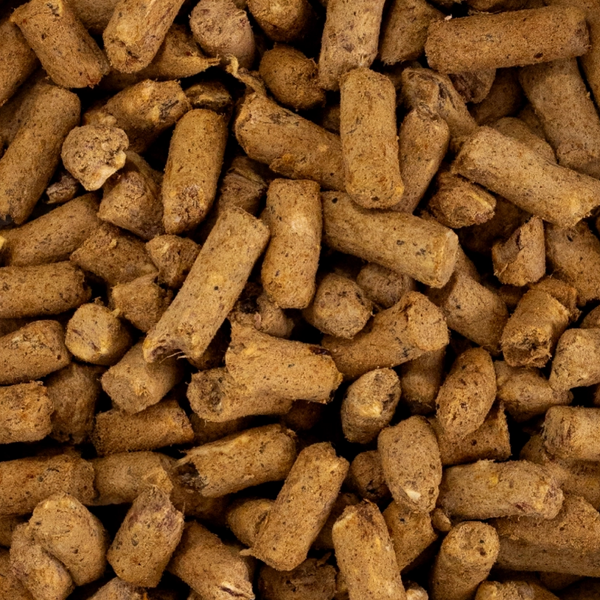 Senior Health Focused Nutrition Dog Food with Lamb, Hoki Fish & King Salmon
