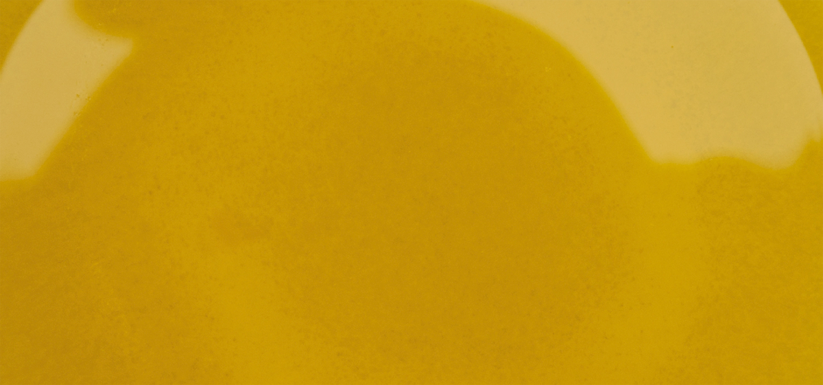 Chicken Bone Broth
