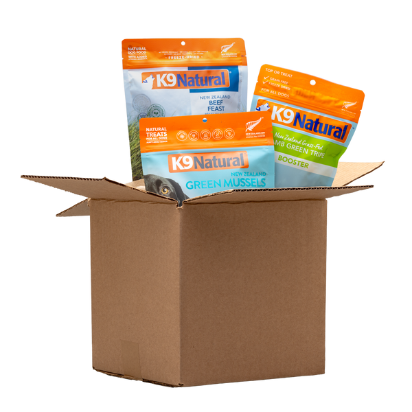 Best Sellers Bundle