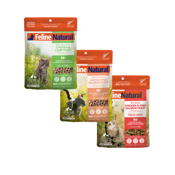 Picky Eaters Bundle