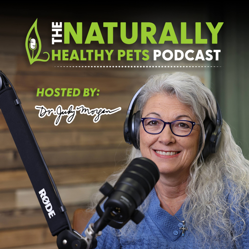 Whole Body Wellness: Anti-Inflammatory Nutrition from Mussels to Meats with Heather Enajibi