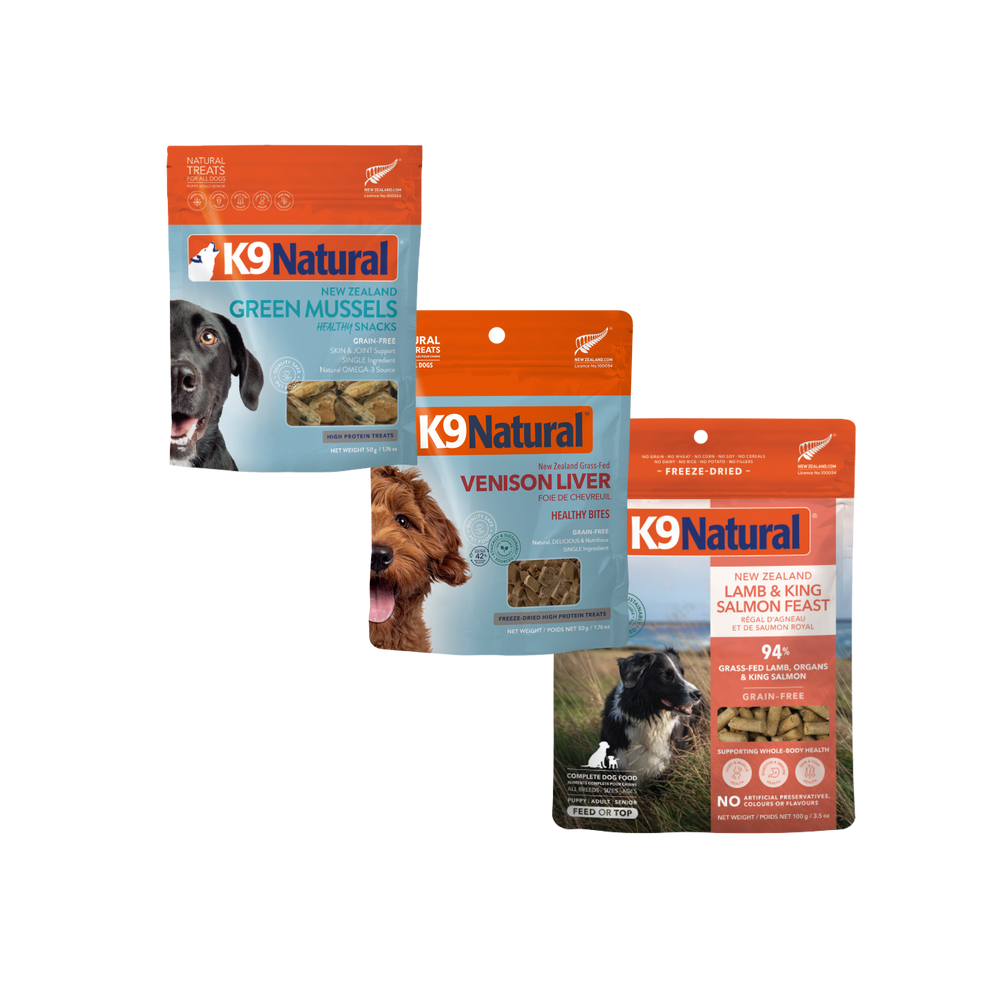 Skin & Coat Support Bundle