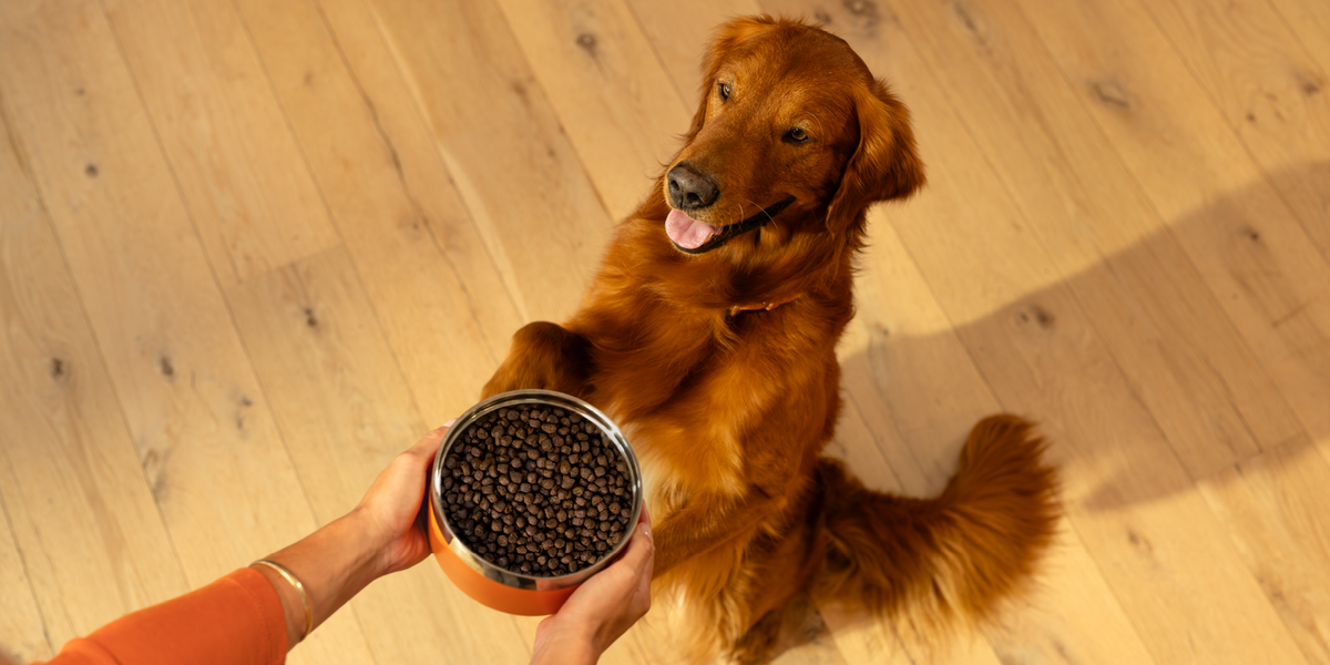 Max Kibble Our Story