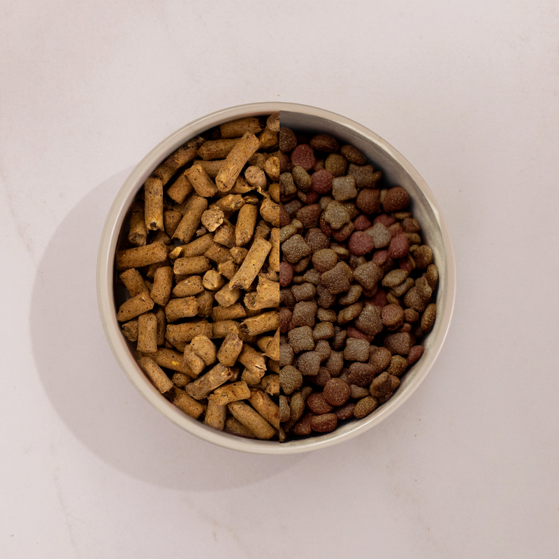 Chicken Feast Freeze-Dried Dog Food Chicken Feast Freeze-Dried Dog Food