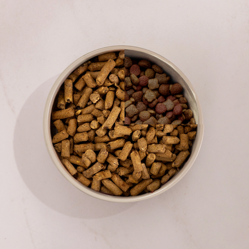 Lamb & King Salmon Feast Freeze-Dried Dog Food Lamb & King Salmon Feast Freeze-Dried Dog Food