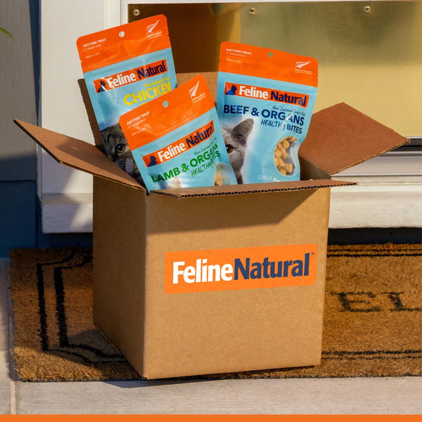 Treats Bundle