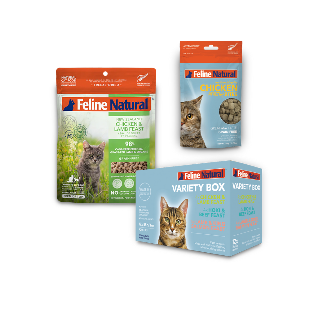 Best Sellers Bundle