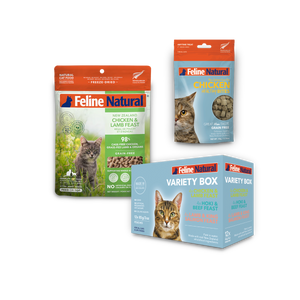 Best Sellers Bundle