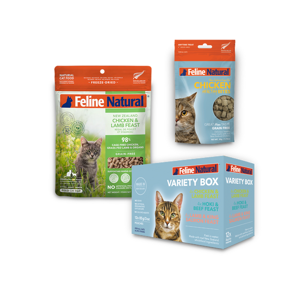 Best Sellers Bundle